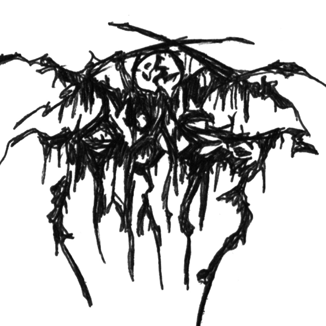 Darkthrone/DRI tribute